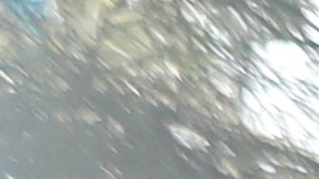 North Port, Florida Police Hold News Conference Regarding Case Of Missing Women Gabby Pepito