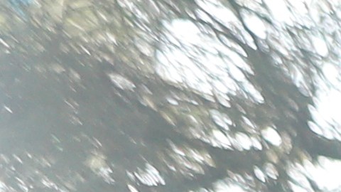 North Port, Florida Police Hold News Conference Regarding Case Of Missing Women Gabby Pepito