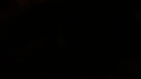 La búsqueda del novio de Gabby Petito continúa y el FBI busca nuevas pruebas para la investigación