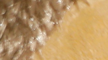 Testigo narra discusión "agresiva" entre Gabby Petito y Brian Laundrie antes de la desaparición