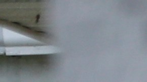 Search Continues For Brian Laundrie, Wanted In Connection With Death Of Gabby Petito