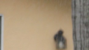 FBI vivienda Brian Laundrie