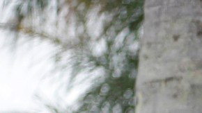 Testigos relatan otro altercado entre Gabby Petito y Brian Laundrie en restaurante de Wyoming