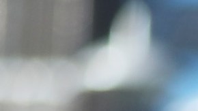 Black Lives Matter en manifestación