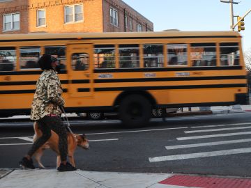 Autobus escolar
