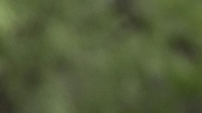 Ha habido un incremento de migración de niños acompañados y no acompañados.