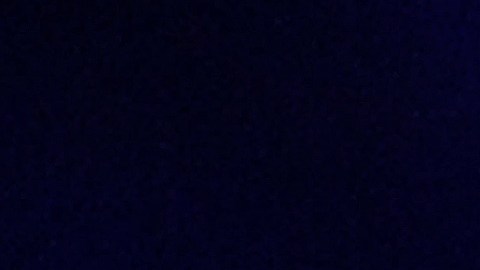Shakira felicita a su papá por su cumpleaños 90.