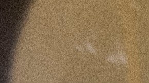 El senador Dick Durbin considera viable integrar la ciudadanía para indocumentados en el proceso de Reconciliación.