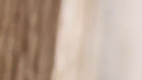 Los motivos por los que Don McLean ha eliminado a su hija de su testamento.