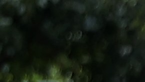 La gobernadora Hochul, junto al exalcalde Michael Bloomberg, rinde tributo a las víctimas en el Monumento del 9/11.