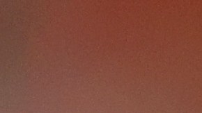 Luego de varios minutos, con el pómulo golpeado, el árbitro se recompuso y siguió trabajando en la primera base.