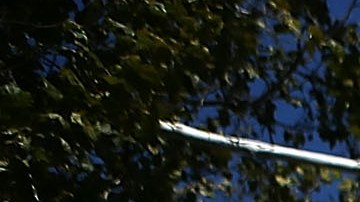 Acusan al Departamento de Estado de retrasar vuelos de evacuación en Afganistán