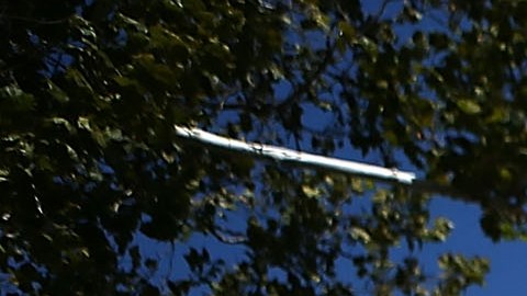 Acusan al Departamento de Estado de retrasar vuelos de evacuación en Afganistán