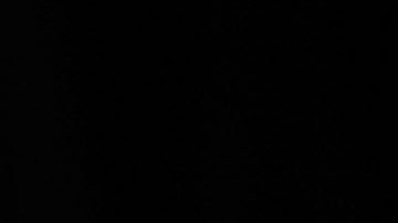 Damon adquirió el penthouse El edificio The Standish, en Brooklyn Heights, es uno de los más considerados por artistas a la hora de comprar un departamento. El último en la lista fue Matt Damon, quien adquirió un lujoso penthouse de 6.000 pies cuadrados, en ese condominio, por $16.745 millones.