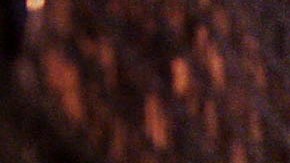 Policía investiga caso de Gabby Petito