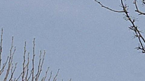Masacre de Columbine en Pensilvania