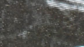 Actor Forest Whitakerat the 2016 Global Citizen Festival In Central Park.