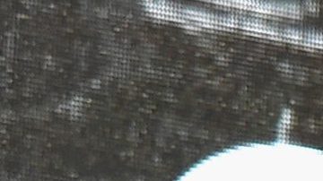 Actor Forest Whitakerat the 2016 Global Citizen Festival In Central Park.