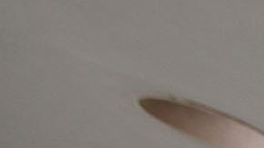 FBI informó que cuerpo de Gabby Petito habría sido hallado