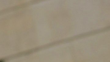 A través de Airbnb se puede alquilar una casa que recrea el hogar de Winnie the Pooh