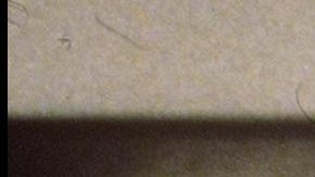 El emotivo mensaje de Sarah Jessica Parker tras la muerte de Willie Garson.