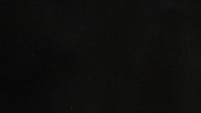 Perros mueren en incendio en Texas