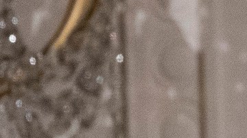 La exprimera dama Melania Trump y el expresidente Donald Trump.