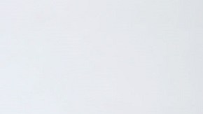 El Servicio Secreto puso apodo a Melania Trump por su rechazo a salir de la Casa Blanca