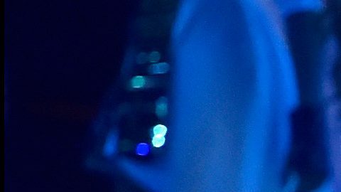 ‘Safaera’ y ‘Gasolina’ están entre las 500 mejores canciones de la historia.