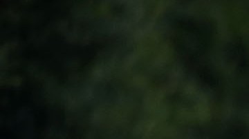 Tiroteo Capital Gazette Maryland