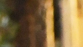 Jennifer Lopez, sin calzón y tapando justo lo necesario, le voló la imaginación a muchos en los MTV Video Music Awards 2021.