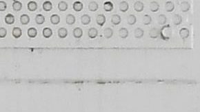 Jennifer Lopez y Ben Affleck se besan apasionadamente en el medio de Central Park y todos alrededor enloquecen con ellos.