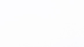 Licuado de canela para la diabetes