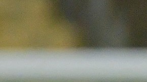 La dupla de los Lionel vienen de ganar la Copa América frente a Brasil.