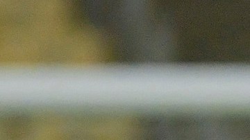 La dupla de los Lionel vienen de ganar la Copa América frente a Brasil.