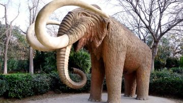 Ambicioso proyecto busca revivir mamuts