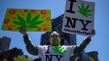 Se espera que la implementación de la ley de uso de marihuana recreacional genere $350 millones de ingresos anuales en NY.