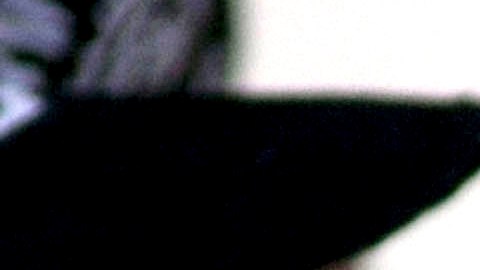 Aunque Miley Cyrus hace música pop, siempre se ha declarado una fan del rock