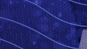 'Así se Baila' primera gala