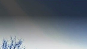 Es vecino de Public School 199, Brooklyn, NYC.