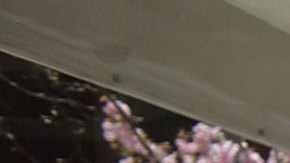 La nueva ley beneficiara a muchos empleados como los porteros, que en su mayoría son hispanos.