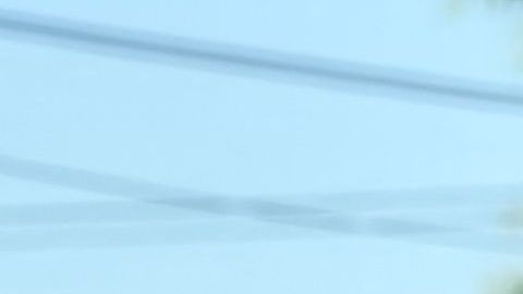 El presidente Biden estuvo acompañado en Queens de los principales funcionarios electos demócratas de Nueva York, incluyendo la Gobernadora y los senadores federales.