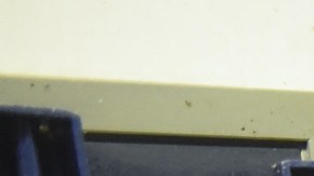 La cárcel de Rikers Island enfrenta una grave crisis, incluyendo la falta de personal.