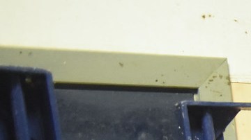 La cárcel de Rikers Island enfrenta una grave crisis, incluyendo la falta de personal.