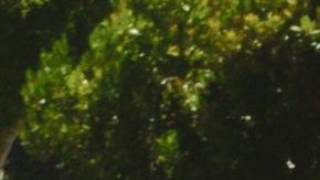 "La amo. La extraño. Tenemos que reconquistarnos", dice Toni Costa de su ex Adamari López.