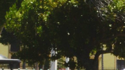 "La amo. La extraño. Tenemos que reconquistarnos", dice Toni Costa de su ex Adamari López.