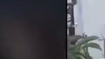 VIDEO: Perro policía muerde a hombre detenido; piden investigar a agentes por brutalidad policial