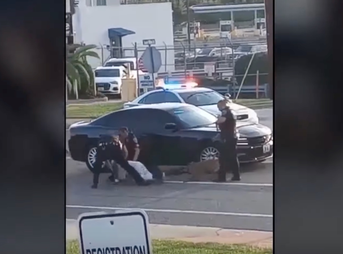 VIDEO: Police dog bites detained man;  They ask to investigate agents for police brutality