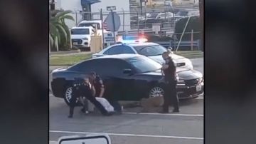 VIDEO: Perro policía muerde a hombre detenido; piden investigar a agentes por brutalidad policial