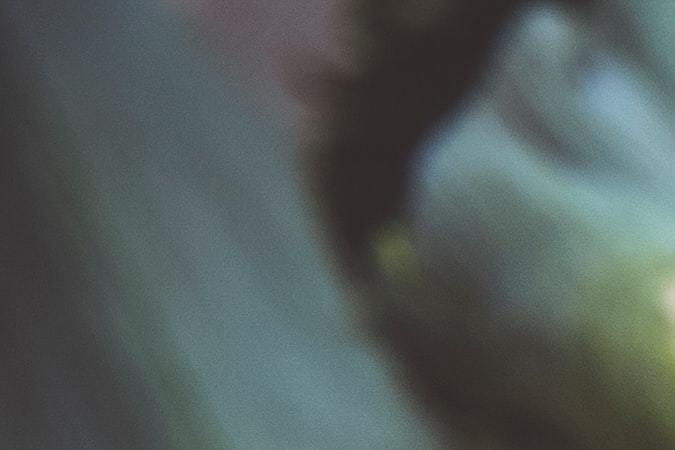 Vegetales para diabéticos